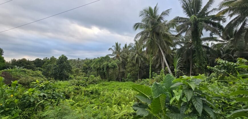 Dijual tanah kebun view sawah dan los sungai berdekatan dengan villa komersil di selemadeg