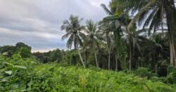 Dijual tanah kebun view sawah dan los sungai berdekatan dengan villa komersil di selemadeg