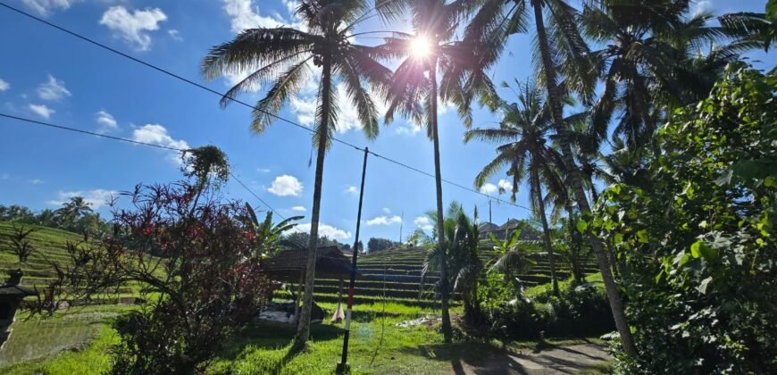 Dijual tanah kebun view sawah dan los sungai berdekatan dengan villa komersil di selemadeg