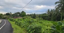 Dijual tanah kebun view sawah dan los sungai berdekatan dengan villa komersil di selemadeg