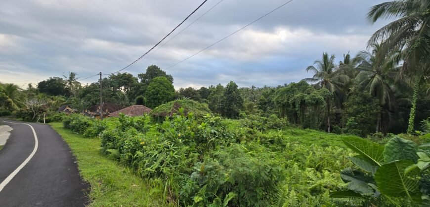 Dijual tanah kebun view sawah dan los sungai berdekatan dengan villa komersil di selemadeg