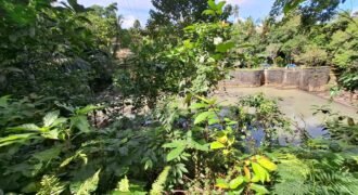 Tanah los sungai jernih di tabanan bali cocok untuk villa