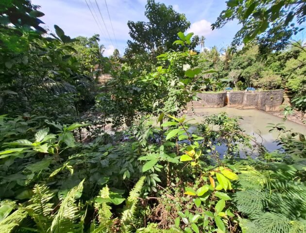 Tanah los sungai jernih di tabanan bali cocok untuk villa