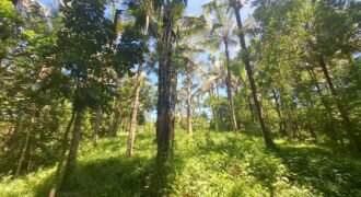 Dijual tanah kebun dekat dengan rencana exit toll antosari di tabanan