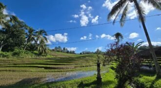 Dijual tanah kebun view sawah dan los sungai berdekatan dengan villa komersil di selemadeg