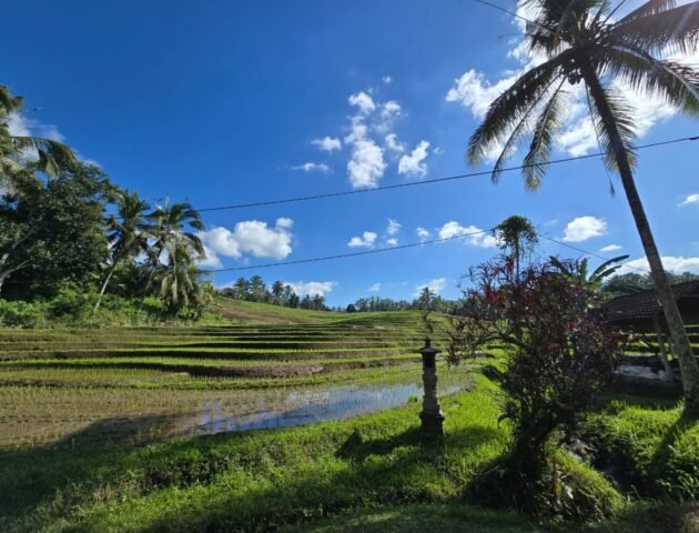 Dijual tanah kebun view sawah dan los sungai berdekatan dengan villa komersil di selemadeg