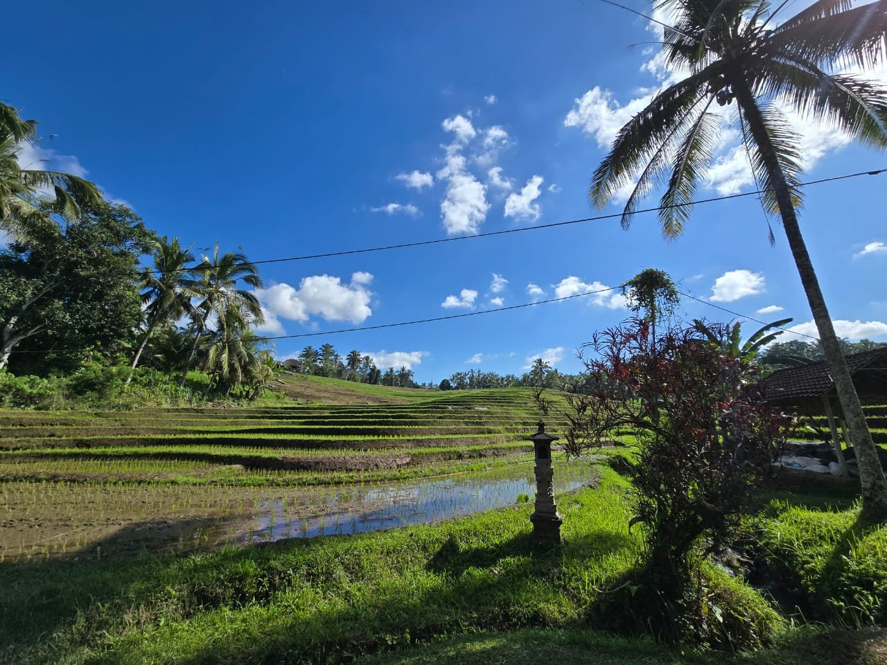 Dijual tanah kebun view sawah dan los sungai berdekatan dengan villa komersil di selemadeg