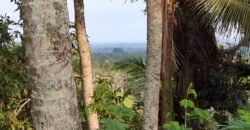 Tanah Kebun Dengan View Laut Bali Selatan