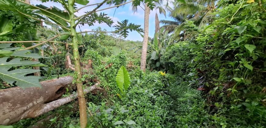 Tanah Kebun Dengan View Laut Bali Selatan