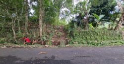 Tanah Kebun Dengan View Laut Bali Selatan