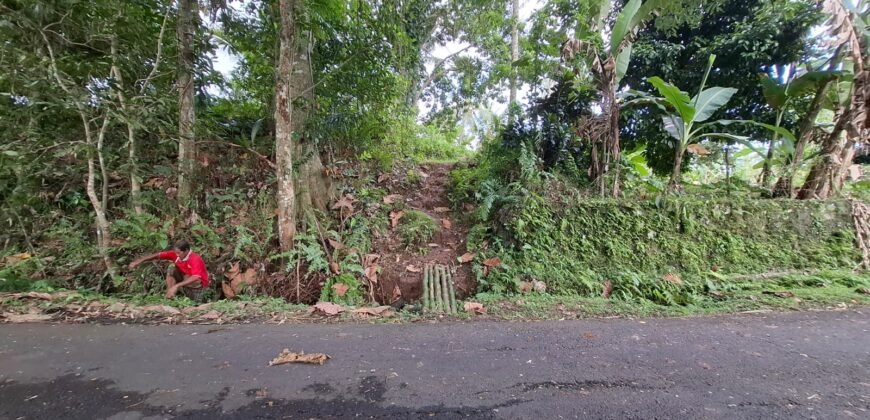 Tanah Kebun Dengan View Laut Bali Selatan