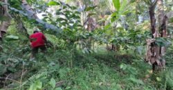 Tanah Kebun Dengan View Laut Bali Selatan