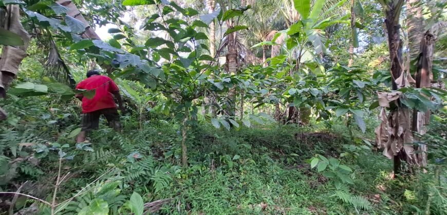 Tanah Kebun Dengan View Laut Bali Selatan