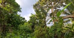 Tanah Kebun Dengan View Laut Bali Selatan