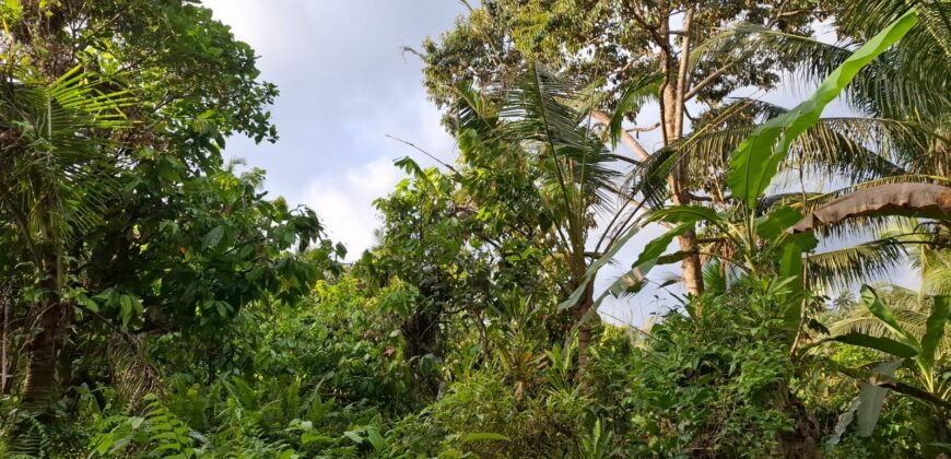 Tanah Kebun Dengan View Laut Bali Selatan