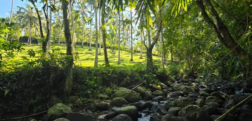 Tanah Los Sungai Berbatu Zona Kuning Dekat Villa Pribadi