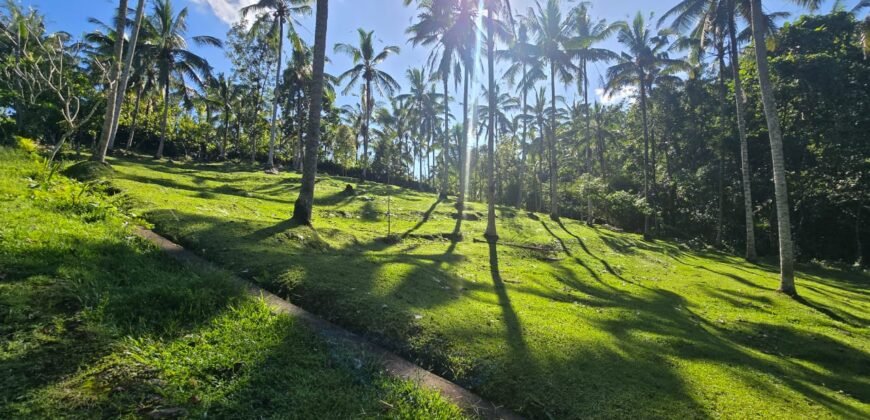 Tanah Los Sungai Berbatu Zona Kuning Dekat Villa Pribadi