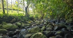 Tanah Los Sungai Berbatu Zona Kuning Dekat Villa Pribadi