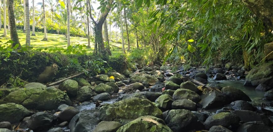 Tanah Los Sungai Berbatu Zona Kuning Dekat Villa Pribadi