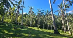 Tanah Los Sungai Berbatu Zona Kuning Dekat Villa Pribadi