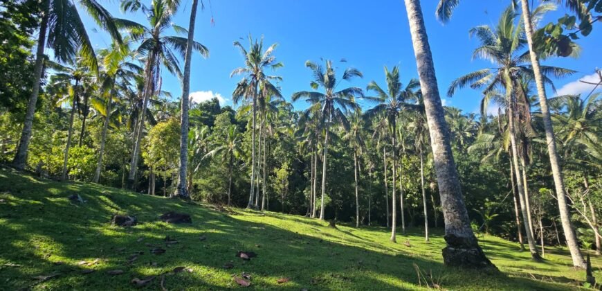 Tanah Los Sungai Berbatu Zona Kuning Dekat Villa Pribadi