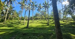 Tanah Los Sungai Berbatu Zona Kuning Dekat Villa Pribadi