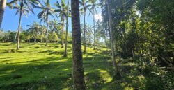 Tanah Los Sungai Berbatu Zona Kuning Dekat Villa Pribadi