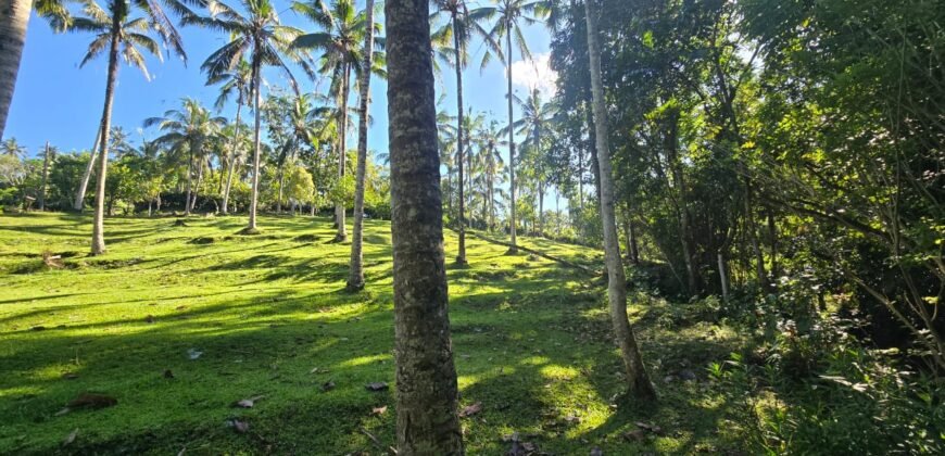 Tanah Los Sungai Berbatu Zona Kuning Dekat Villa Pribadi