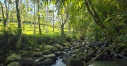 Tanah Los Sungai Berbatu Zona Kuning Dekat Villa Pribadi