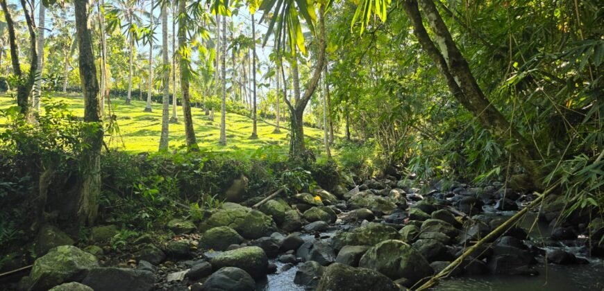 Tanah Los Sungai Berbatu Zona Kuning Dekat Villa Pribadi
