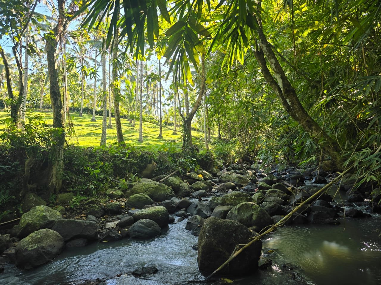 Tanah Los Sungai Berbatu Zona Kuning Dekat Villa Pribadi