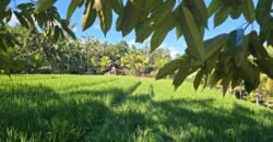 Tanah Los Sungai Besar dan View Sawah Berdampingan Dengan Villa