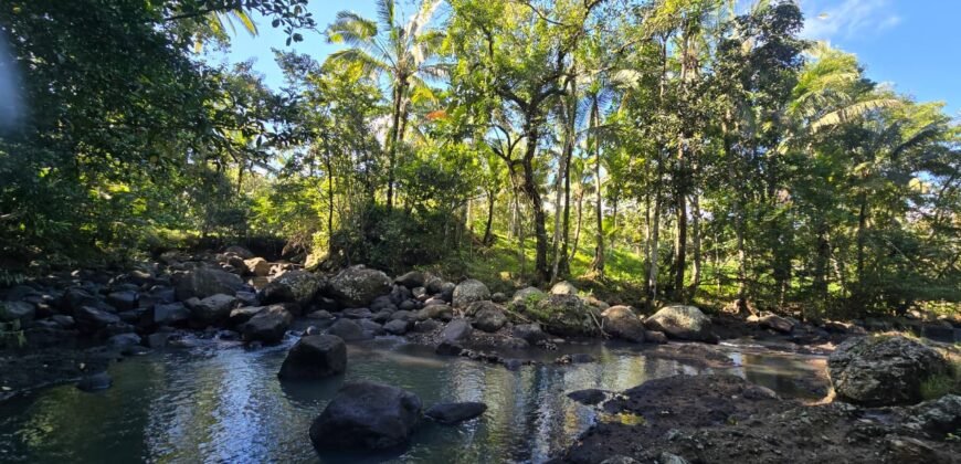 Tanah Los Sungai Besar dan View Sawah Berdampingan Dengan Villa