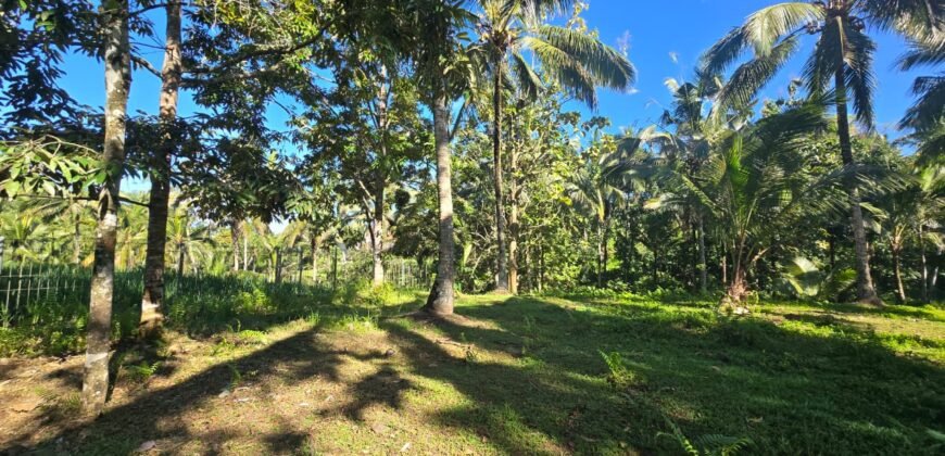 Tanah Los Sungai Besar dan View Sawah Berdampingan Dengan Villa