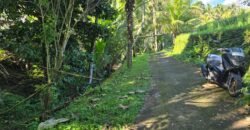 Tanah Los Sungai Besar dan View Sawah Berdampingan Dengan Villa