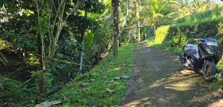 Tanah Los Sungai Besar dan View Sawah Berdampingan Dengan Villa