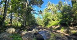 Tanah Los Sungai Besar dan View Sawah Berdampingan Dengan Villa