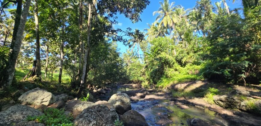Tanah Los Sungai Besar dan View Sawah Berdampingan Dengan Villa