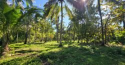 Tanah Los Sungai Besar dan View Sawah Berdampingan Dengan Villa