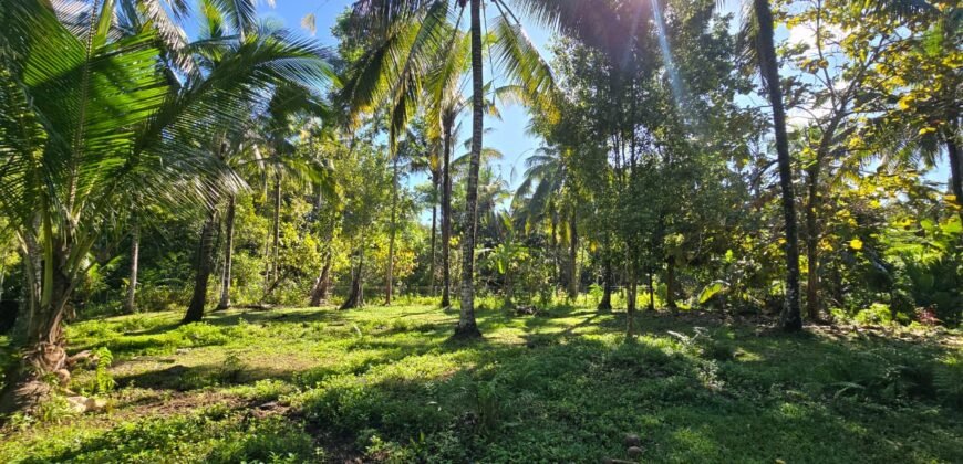 Tanah Los Sungai Besar dan View Sawah Berdampingan Dengan Villa
