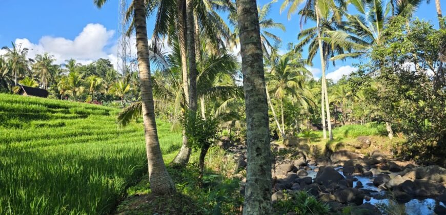 Tanah Los Sungai Besar dan View Sawah Berdampingan Dengan Villa