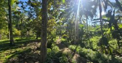 Tanah Los Sungai Besar dan View Sawah Berdampingan Dengan Villa