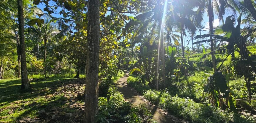 Tanah Los Sungai Besar dan View Sawah Berdampingan Dengan Villa