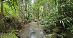 Tanah Kebun Los Sungai Dengan Harga Yang Masih Terjangkau