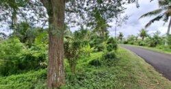 Dijual Tanah Dekat Dengan Pantai Pariwista Di Selemadeg