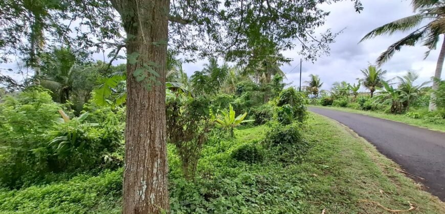 Dijual Tanah Dekat Dengan Pantai Pariwista Di Selemadeg