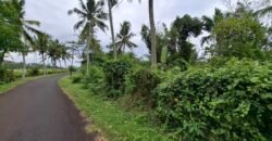 Dijual Tanah Dekat Dengan Pantai Pariwista Di Selemadeg