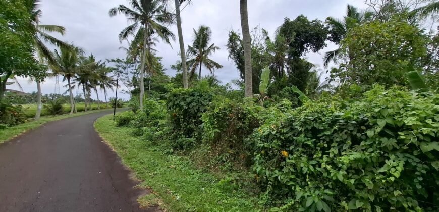 Dijual Tanah Dekat Dengan Pantai Pariwista Di Selemadeg