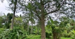 Dijual Tanah Dekat Dengan Pantai Pariwista Di Selemadeg