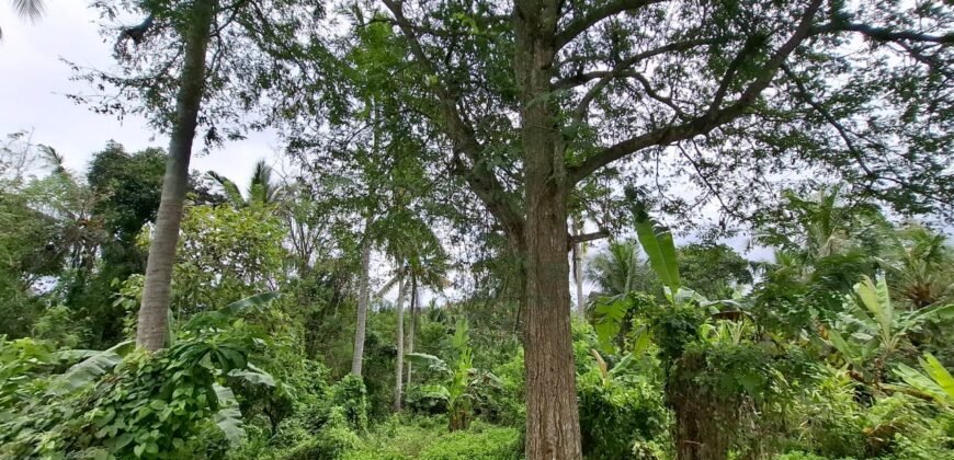 Dijual Tanah Dekat Dengan Pantai Pariwista Di Selemadeg